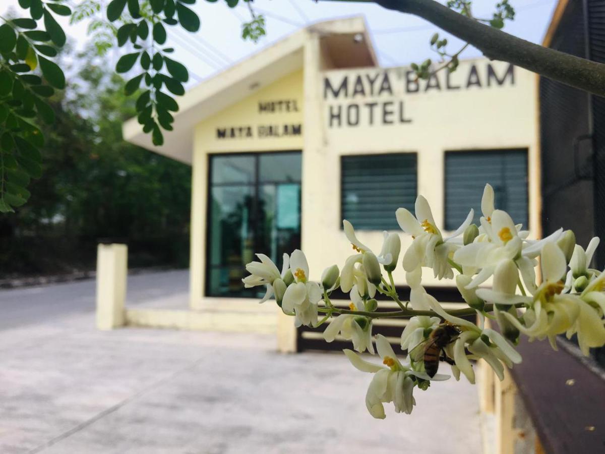 Hotel Maya Balam Xpujil Eksteriør billede